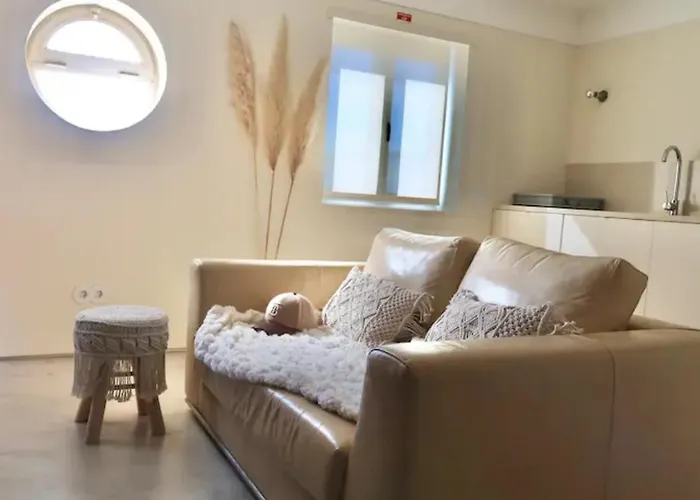 Up Roselight * Aveiro