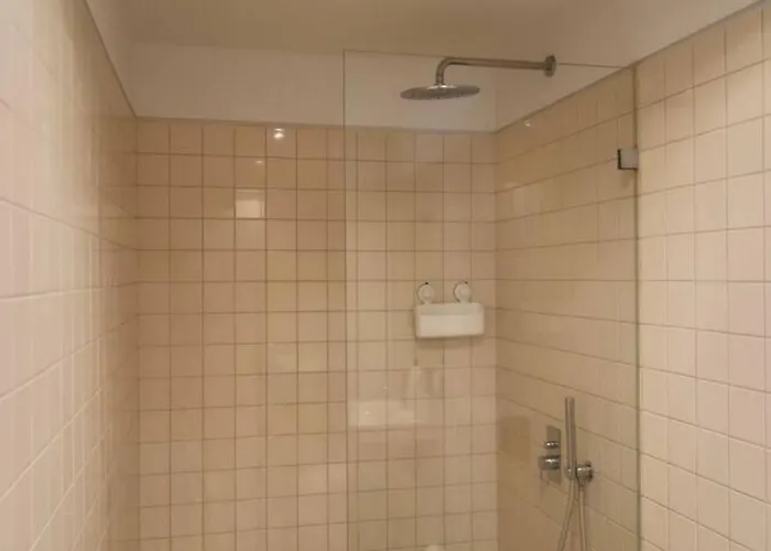 Up Roselight * Aveiro